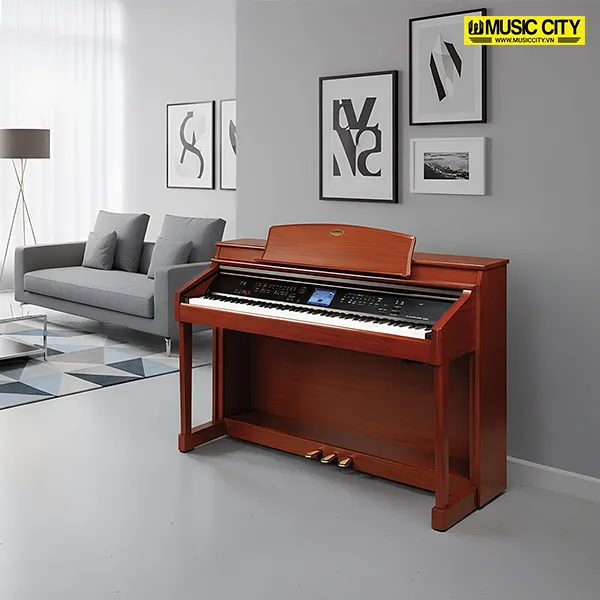 Music City – Tổng Kho Piano, Guitar, Organ | Dịch Vụ Giáo Dục Âm Nhạc