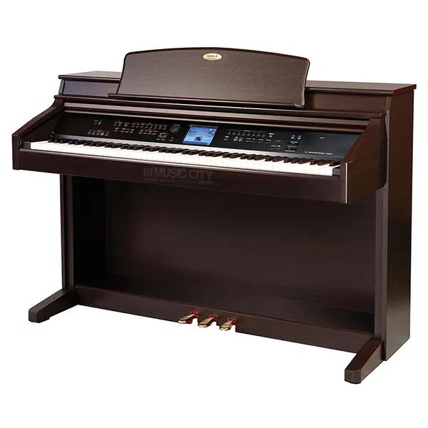 Music City – Tổng Kho Piano, Guitar, Organ | Dịch Vụ Giáo Dục Âm Nhạc