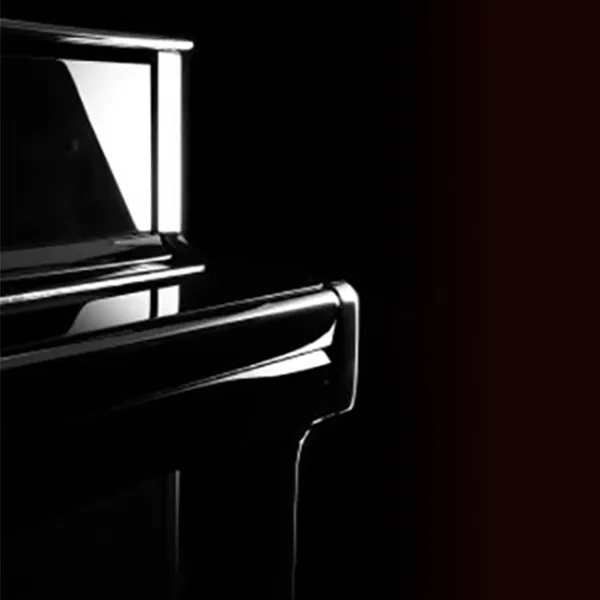 Music City – Tổng Kho Piano, Guitar, Organ | Dịch Vụ Giáo Dục Âm Nhạc