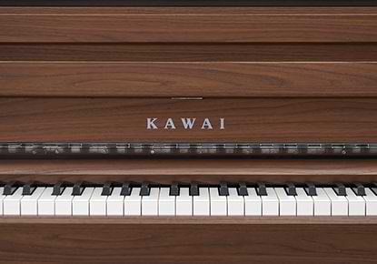 Music City – Tổng Kho Piano, Guitar, Organ | Dịch Vụ Giáo Dục Âm Nhạc