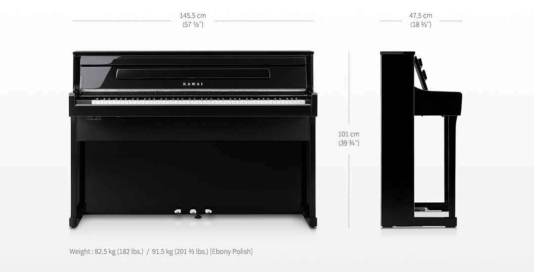 Music City – Tổng Kho Piano, Guitar, Organ | Dịch Vụ Giáo Dục Âm Nhạc