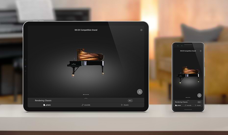 Music City – Tổng Kho Piano, Guitar, Organ | Dịch Vụ Giáo Dục Âm Nhạc