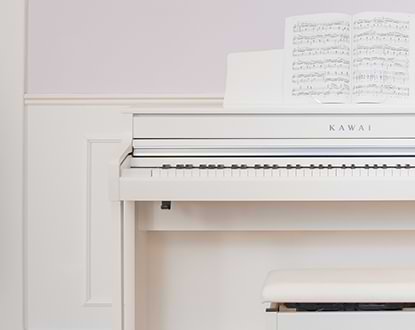 Music City – Tổng Kho Piano, Guitar, Organ | Dịch Vụ Giáo Dục Âm Nhạc