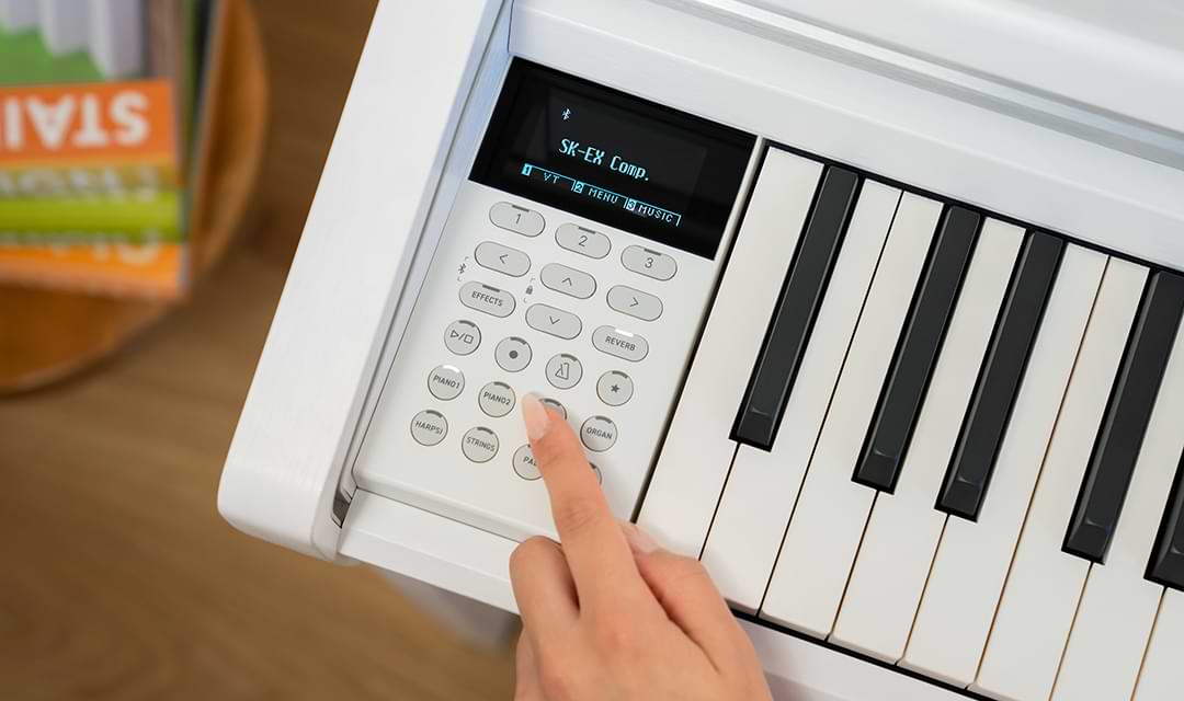 Music City – Tổng Kho Piano, Guitar, Organ | Dịch Vụ Giáo Dục Âm Nhạc