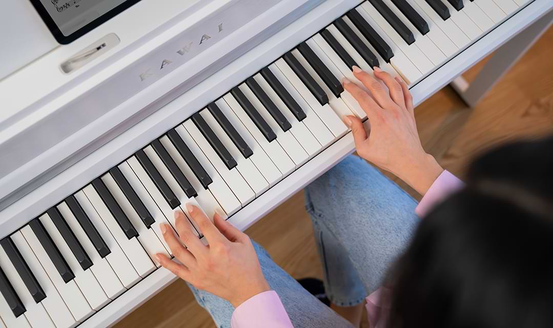 Music City – Tổng Kho Piano, Guitar, Organ | Dịch Vụ Giáo Dục Âm Nhạc