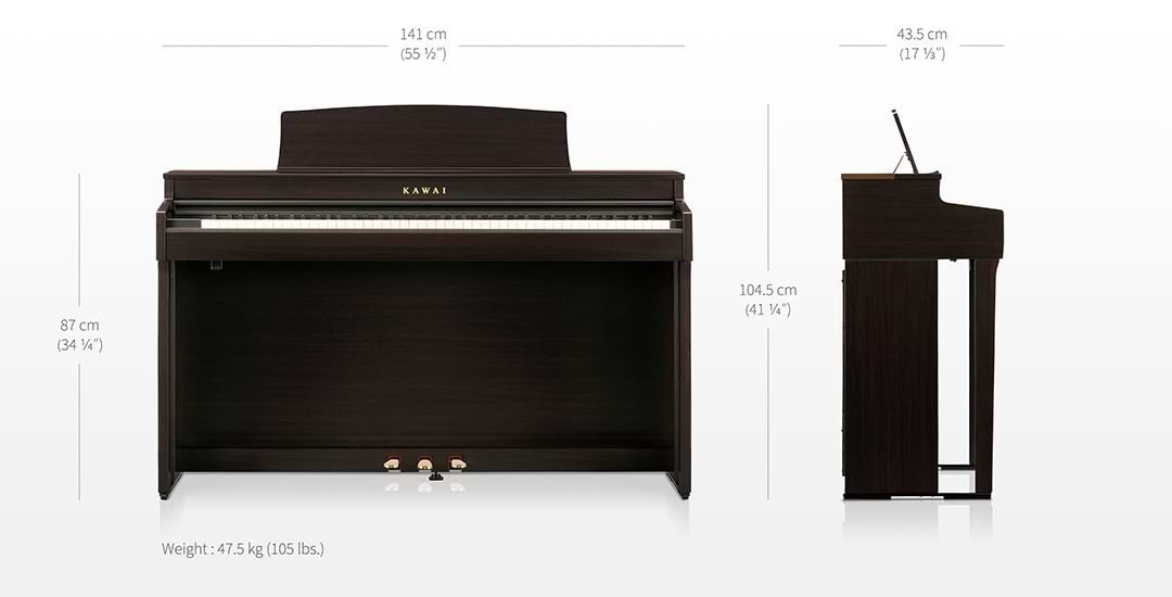 Music City – Tổng Kho Piano, Guitar, Organ | Dịch Vụ Giáo Dục Âm Nhạc