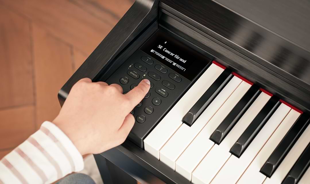 Music City – Tổng Kho Piano, Guitar, Organ | Dịch Vụ Giáo Dục Âm Nhạc