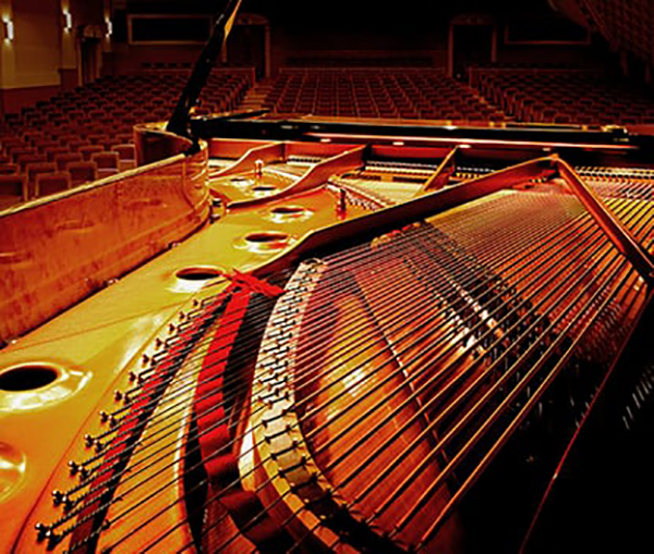 Music City – Tổng Kho Piano, Guitar, Organ | Dịch Vụ Giáo Dục Âm Nhạc