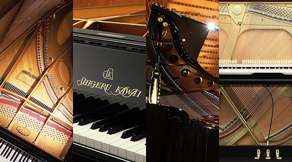 Music City – Tổng Kho Piano, Guitar, Organ | Dịch Vụ Giáo Dục Âm Nhạc