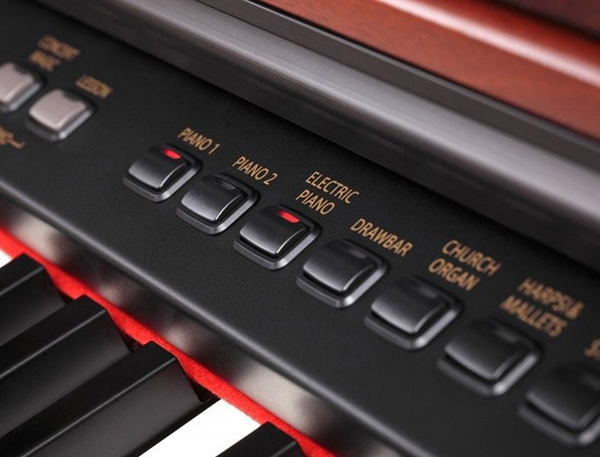 Music City – Tổng Kho Piano, Guitar, Organ | Dịch Vụ Giáo Dục Âm Nhạc