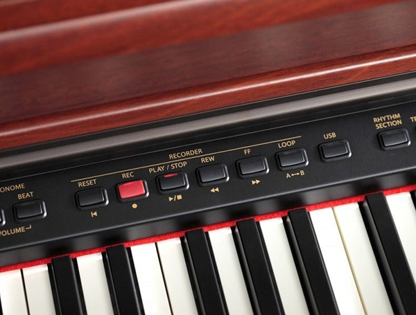 Music City – Tổng Kho Piano, Guitar, Organ | Dịch Vụ Giáo Dục Âm Nhạc