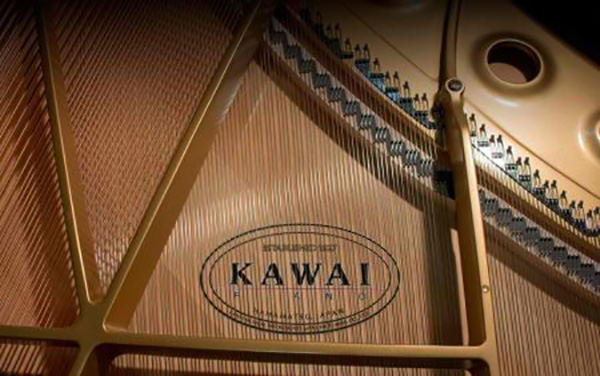 Music City – Tổng Kho Piano, Guitar, Organ | Dịch Vụ Giáo Dục Âm Nhạc