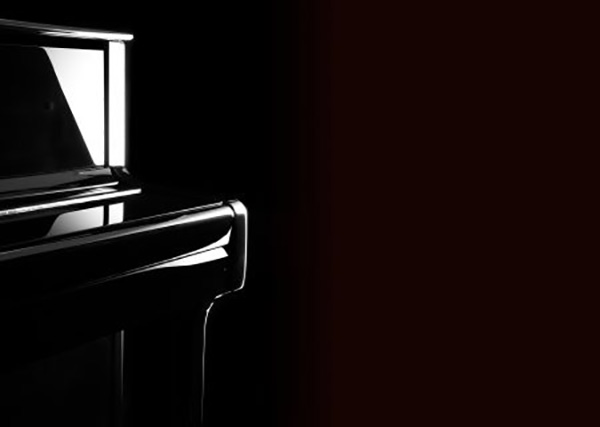 Music City – Tổng Kho Piano, Guitar, Organ | Dịch Vụ Giáo Dục Âm Nhạc