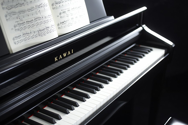 Music City – Tổng Kho Piano, Guitar, Organ | Dịch Vụ Giáo Dục Âm Nhạc