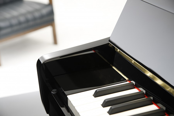 Music City – Tổng Kho Piano, Guitar, Organ | Dịch Vụ Giáo Dục Âm Nhạc