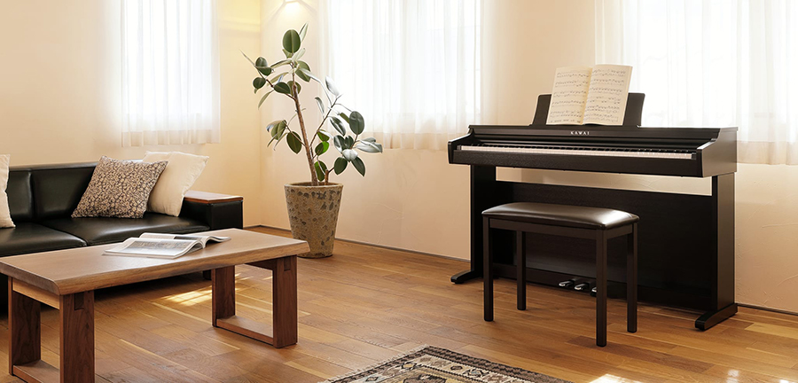 Music City – Tổng Kho Piano, Guitar, Organ | Dịch Vụ Giáo Dục Âm Nhạc