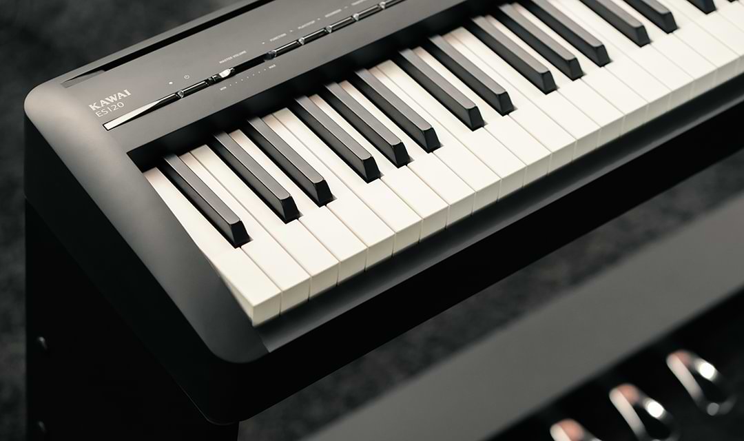 Music City – Tổng Kho Piano, Guitar, Organ | Dịch Vụ Giáo Dục Âm Nhạc
