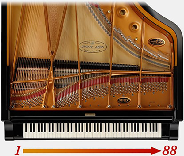 Music City – Tổng Kho Piano, Guitar, Organ | Dịch Vụ Giáo Dục Âm Nhạc