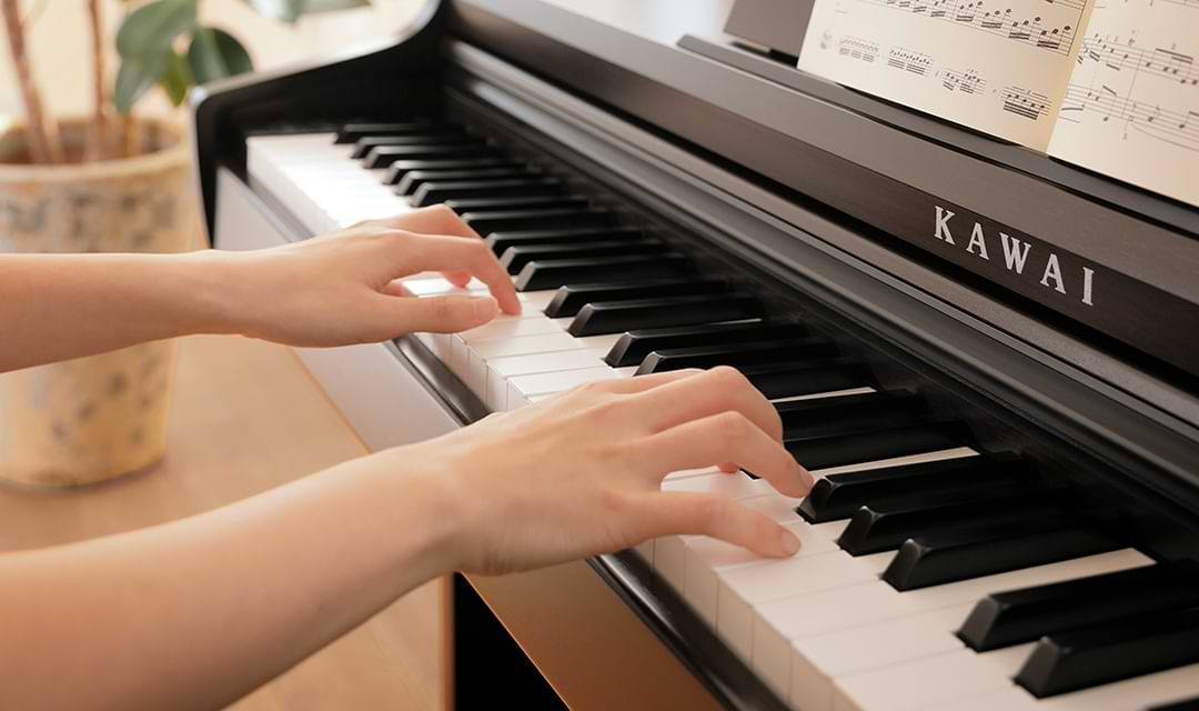 Music City – Tổng Kho Piano, Guitar, Organ | Dịch Vụ Giáo Dục Âm Nhạc