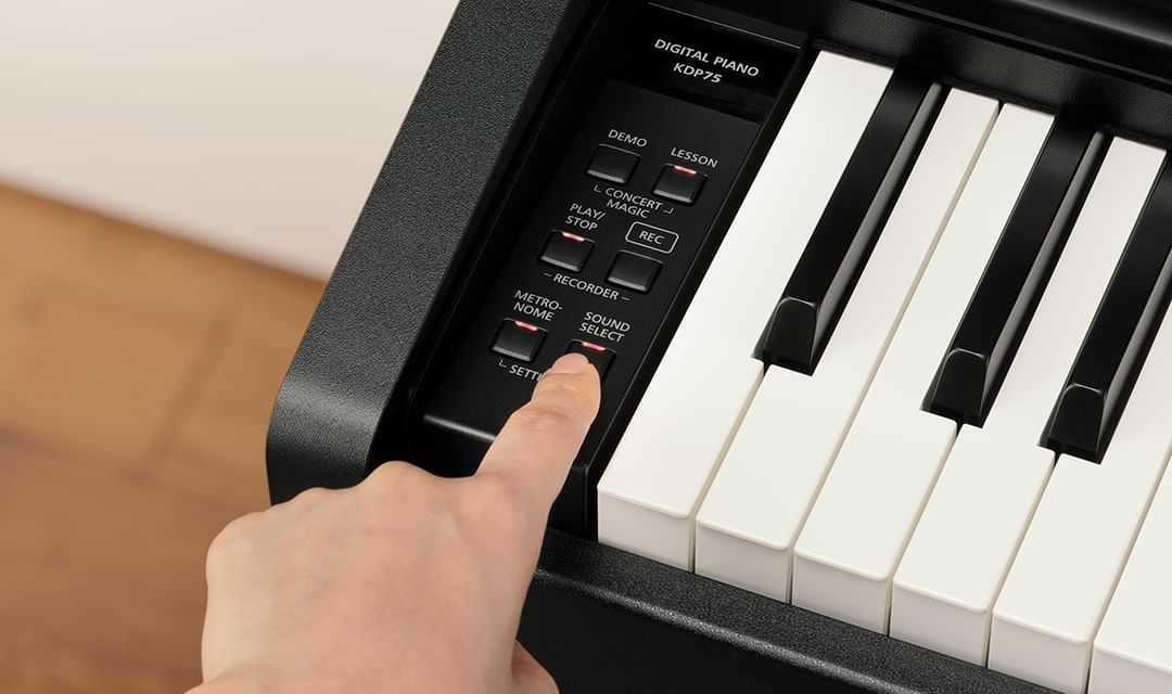 Music City – Tổng Kho Piano, Guitar, Organ | Dịch Vụ Giáo Dục Âm Nhạc
