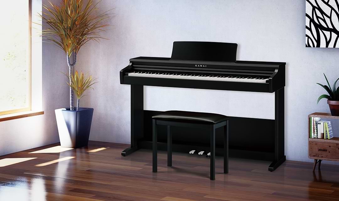 Music City – Tổng Kho Piano, Guitar, Organ | Dịch Vụ Giáo Dục Âm Nhạc