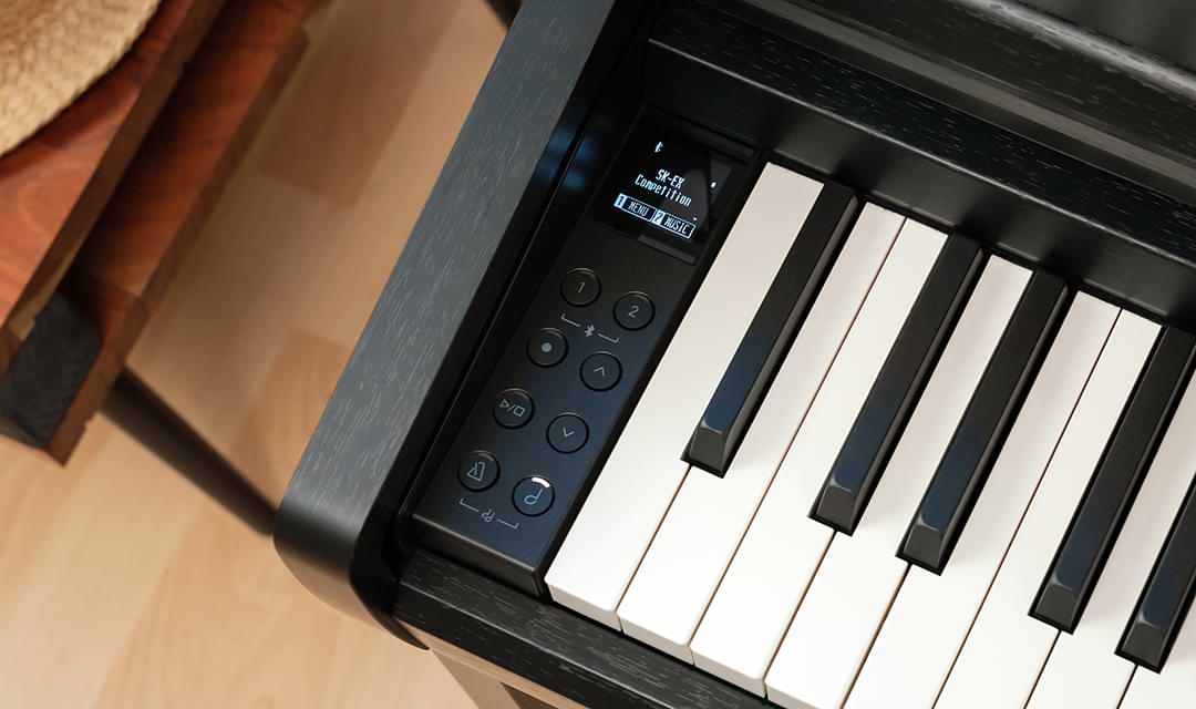 Music City – Tổng Kho Piano, Guitar, Organ | Dịch Vụ Giáo Dục Âm Nhạc