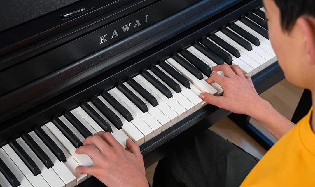 Music City – Tổng Kho Piano, Guitar, Organ | Dịch Vụ Giáo Dục Âm Nhạc