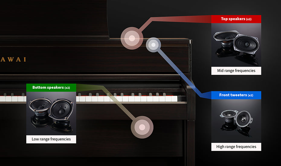 Music City – Tổng Kho Piano, Guitar, Organ | Dịch Vụ Giáo Dục Âm Nhạc