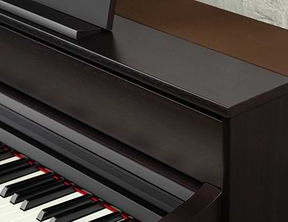 Music City – Tổng Kho Piano, Guitar, Organ | Dịch Vụ Giáo Dục Âm Nhạc