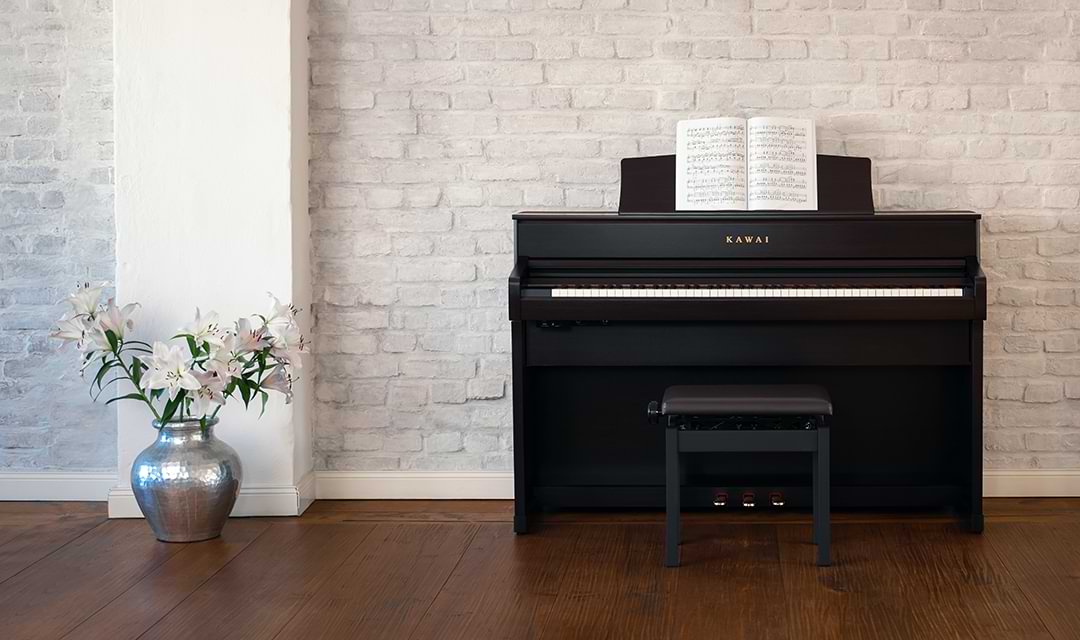 Music City – Tổng Kho Piano, Guitar, Organ | Dịch Vụ Giáo Dục Âm Nhạc