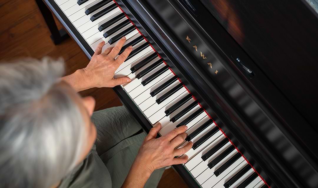 Music City – Tổng Kho Piano, Guitar, Organ | Dịch Vụ Giáo Dục Âm Nhạc