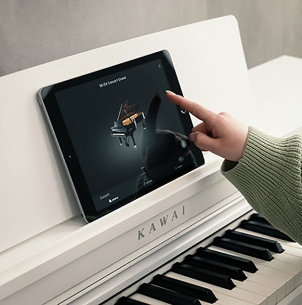 Music City – Tổng Kho Piano, Guitar, Organ | Dịch Vụ Giáo Dục Âm Nhạc