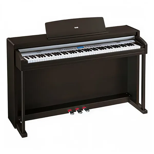 Music City – Tổng Kho Piano, Guitar, Organ | Dịch Vụ Giáo Dục Âm Nhạc