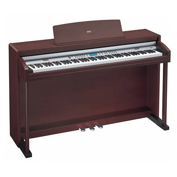 Music City – Tổng Kho Piano, Guitar, Organ | Dịch Vụ Giáo Dục Âm Nhạc