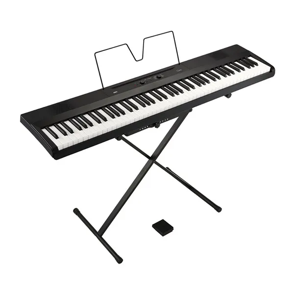 Music City – Tổng Kho Piano, Guitar, Organ | Dịch Vụ Giáo Dục Âm Nhạc