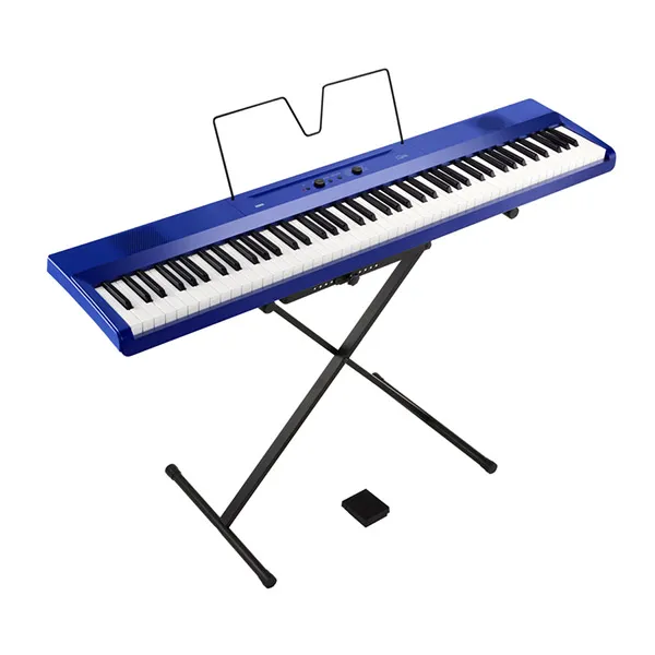 Music City – Tổng Kho Piano, Guitar, Organ | Dịch Vụ Giáo Dục Âm Nhạc