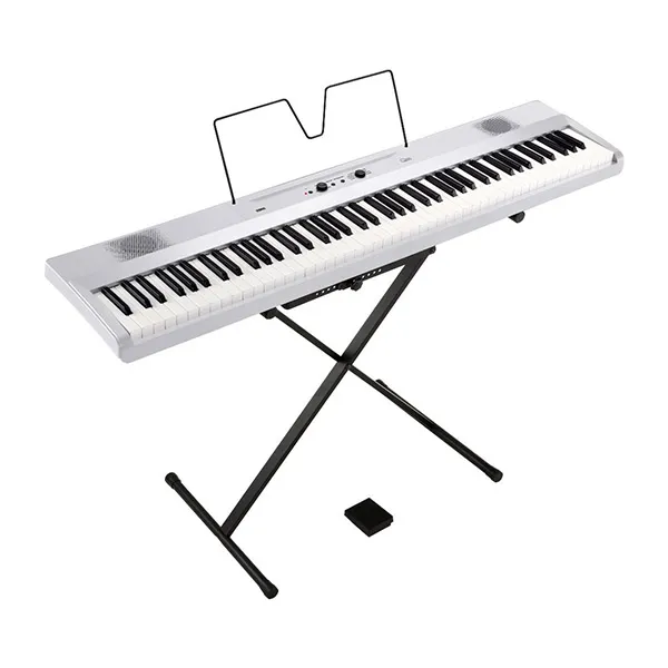 Music City – Tổng Kho Piano, Guitar, Organ | Dịch Vụ Giáo Dục Âm Nhạc
