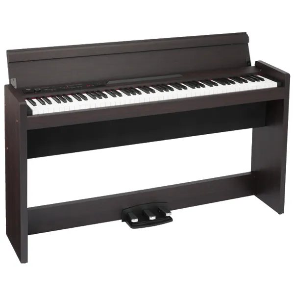 Music City – Tổng Kho Piano, Guitar, Organ | Dịch Vụ Giáo Dục Âm Nhạc