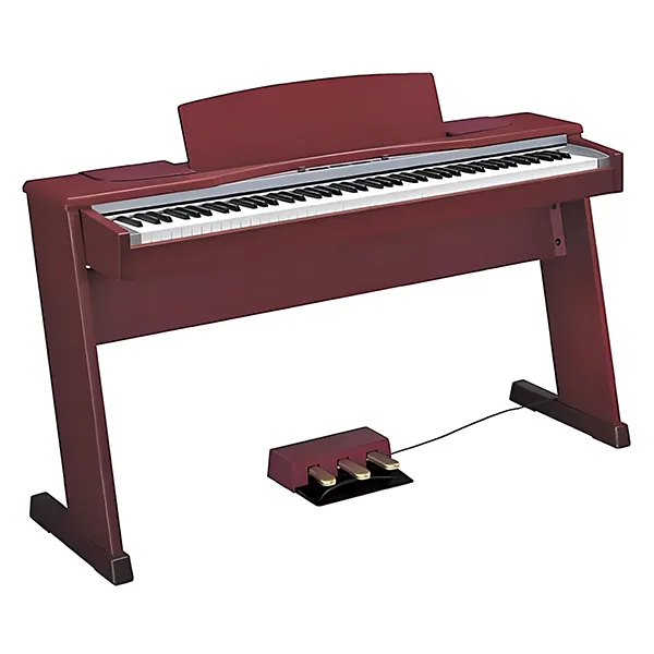 Music City – Tổng Kho Piano, Guitar, Organ | Dịch Vụ Giáo Dục Âm Nhạc