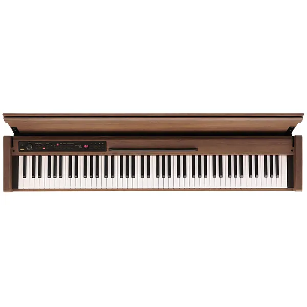 Music City – Tổng Kho Piano, Guitar, Organ | Dịch Vụ Giáo Dục Âm Nhạc