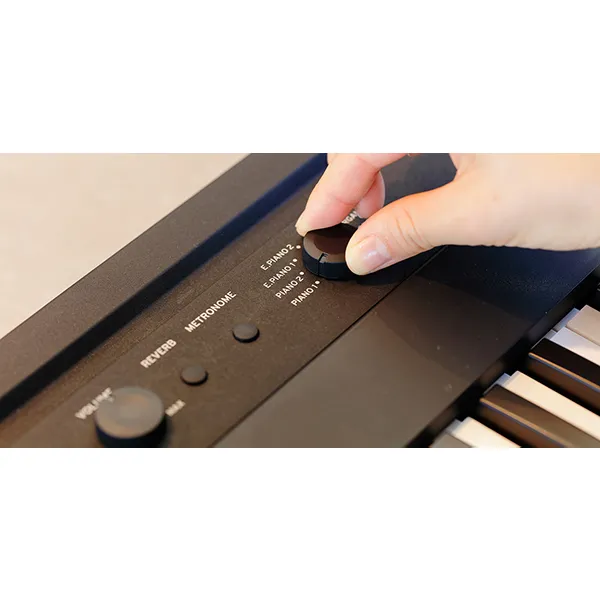 Music City – Tổng Kho Piano, Guitar, Organ | Dịch Vụ Giáo Dục Âm Nhạc
