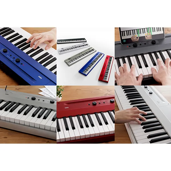 Music City – Tổng Kho Piano, Guitar, Organ | Dịch Vụ Giáo Dục Âm Nhạc