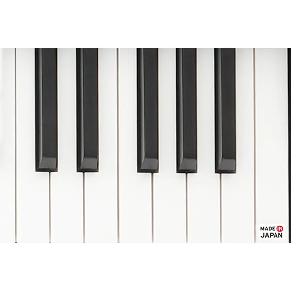 Music City – Tổng Kho Piano, Guitar, Organ | Dịch Vụ Giáo Dục Âm Nhạc