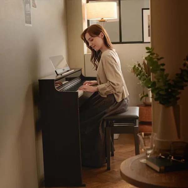 dan-piano-casio-ap-s450-musiccity