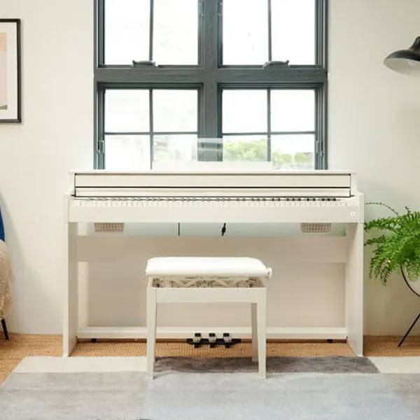 dan-piano-casio-ap-s450-musiccity