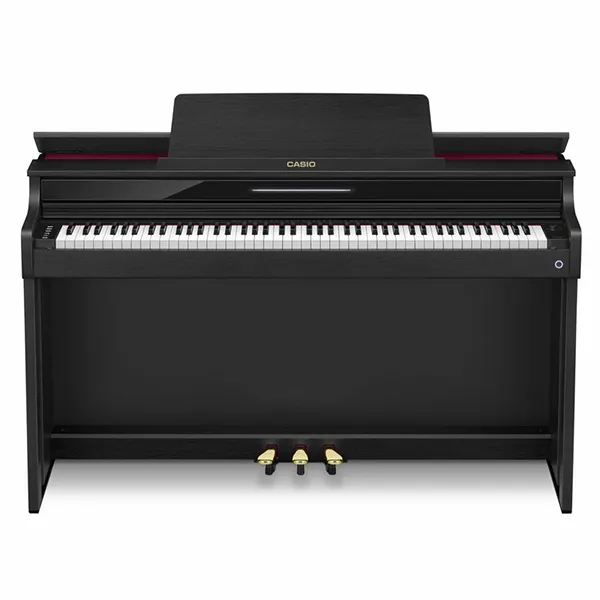 Music City – Tổng Kho Piano, Guitar, Organ | Dịch Vụ Giáo Dục Âm Nhạc