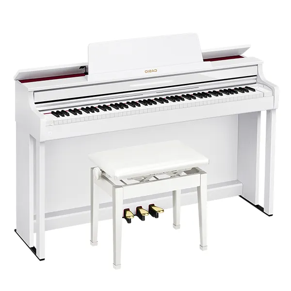 Music City – Tổng Kho Piano, Guitar, Organ | Dịch Vụ Giáo Dục Âm Nhạc
