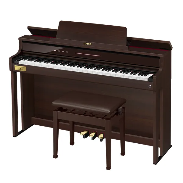 Music City – Tổng Kho Piano, Guitar, Organ | Dịch Vụ Giáo Dục Âm Nhạc