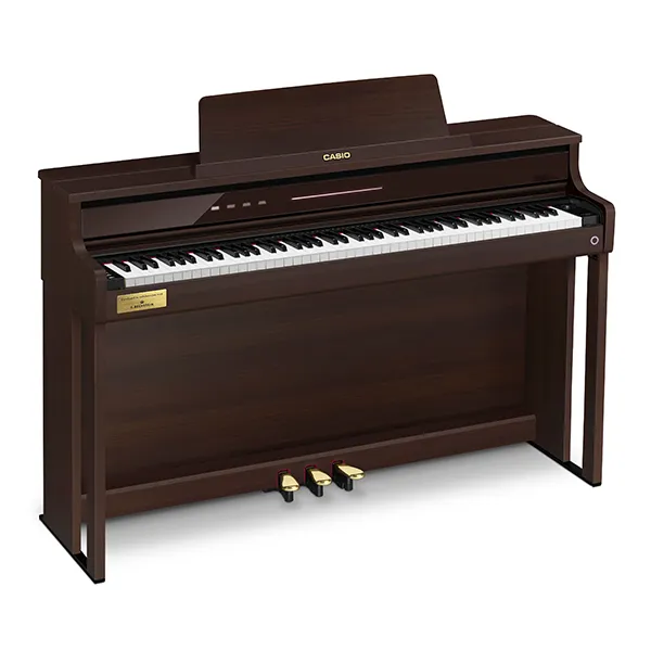 Music City – Tổng Kho Piano, Guitar, Organ | Dịch Vụ Giáo Dục Âm Nhạc
