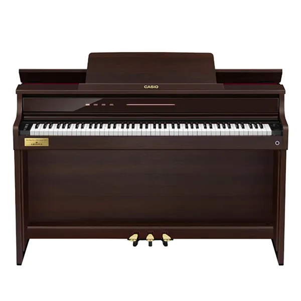 Music City – Tổng Kho Piano, Guitar, Organ | Dịch Vụ Giáo Dục Âm Nhạc